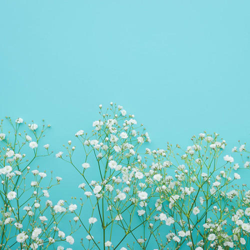 ショッピングガイド